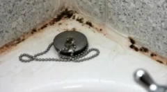 Cum să scapi de mucegai în baie